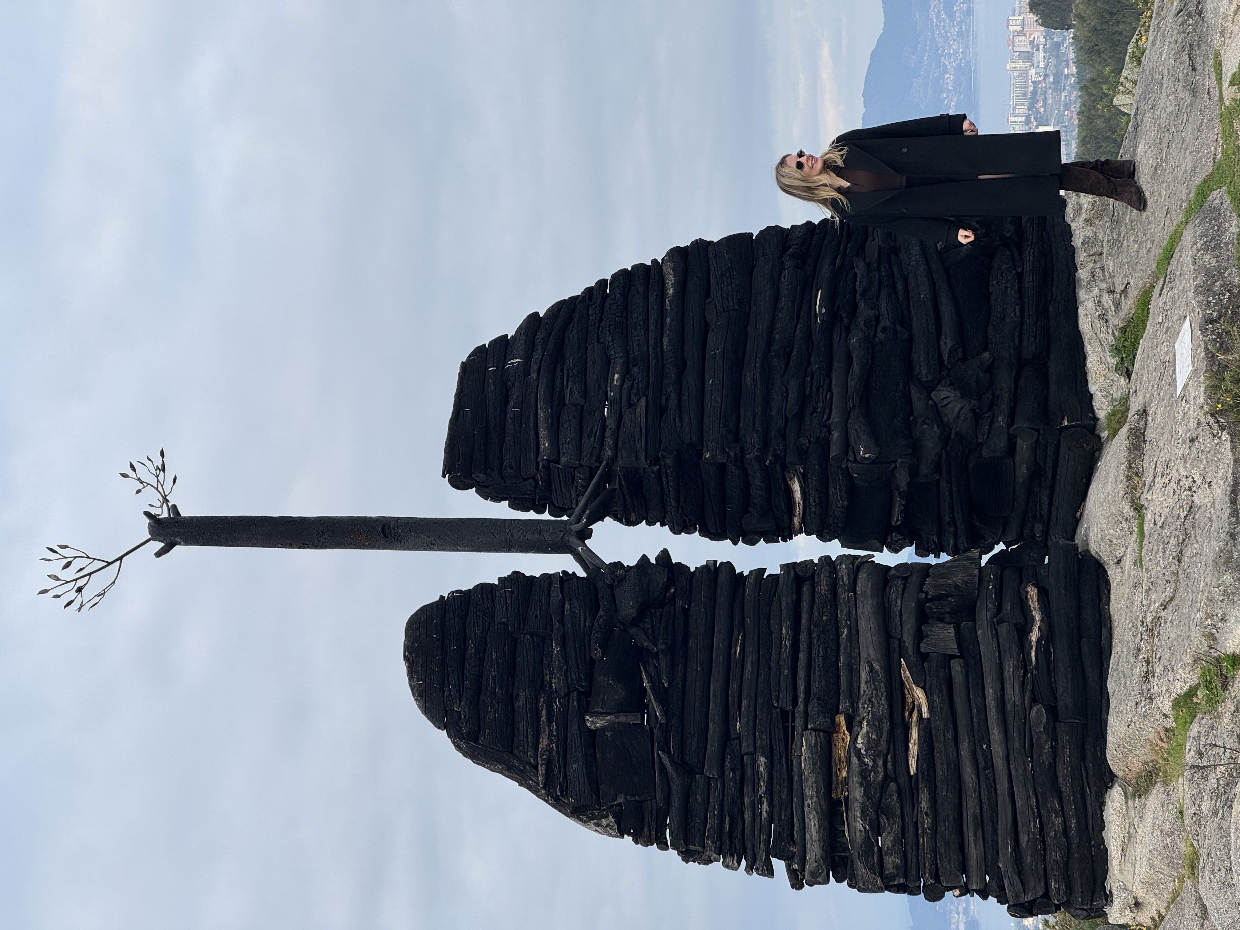 Fotografia com escultura em forma de pulmões